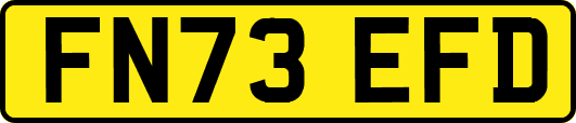 FN73EFD