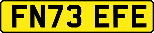 FN73EFE