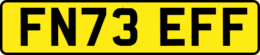 FN73EFF