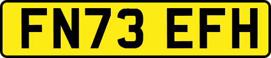 FN73EFH