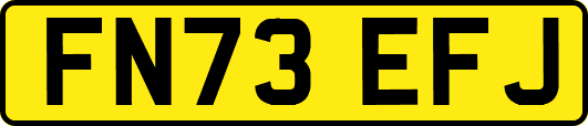 FN73EFJ