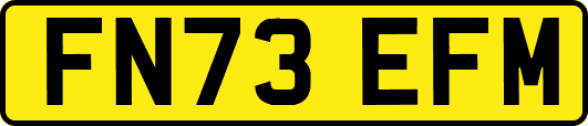 FN73EFM