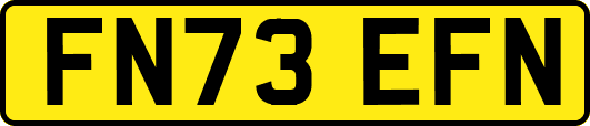 FN73EFN