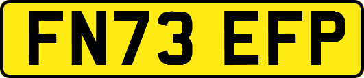 FN73EFP