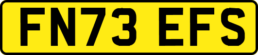 FN73EFS