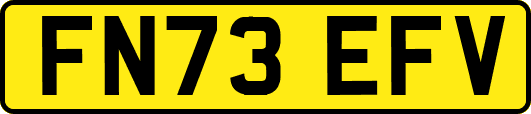 FN73EFV