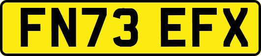 FN73EFX