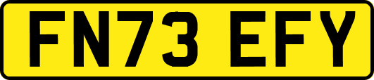 FN73EFY