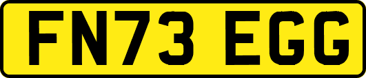 FN73EGG