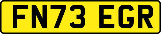 FN73EGR