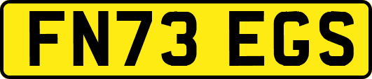 FN73EGS