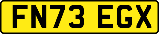 FN73EGX