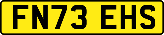 FN73EHS