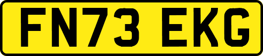 FN73EKG