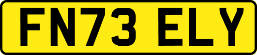 FN73ELY