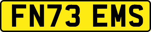 FN73EMS