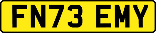 FN73EMY
