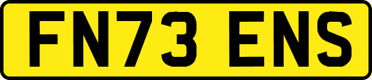 FN73ENS