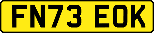 FN73EOK