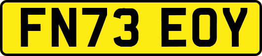 FN73EOY