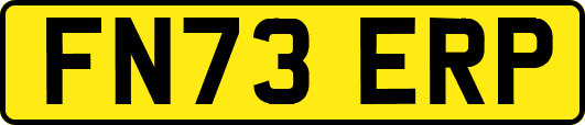 FN73ERP