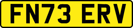 FN73ERV