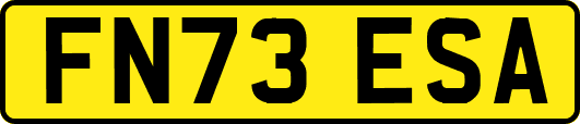 FN73ESA