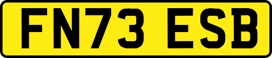 FN73ESB