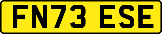 FN73ESE