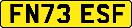 FN73ESF
