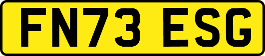 FN73ESG