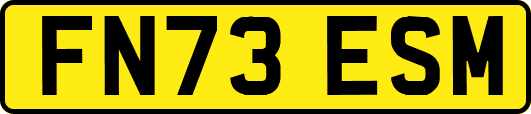 FN73ESM