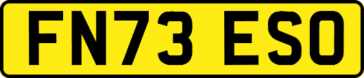 FN73ESO
