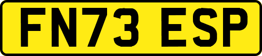 FN73ESP