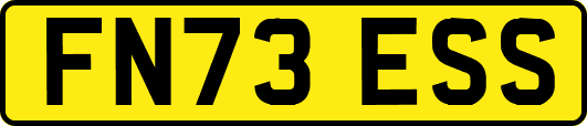 FN73ESS