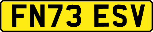 FN73ESV