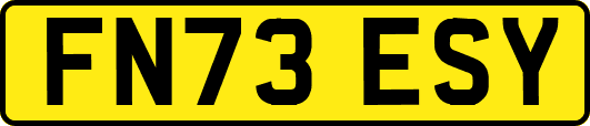 FN73ESY