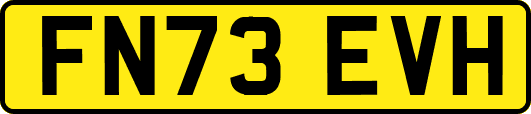 FN73EVH