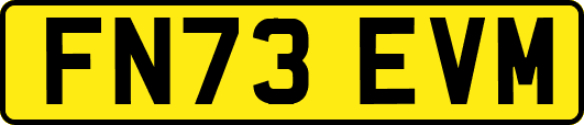 FN73EVM