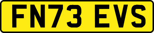 FN73EVS