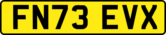 FN73EVX