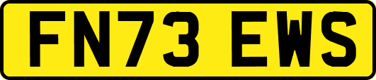 FN73EWS