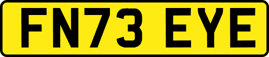 FN73EYE