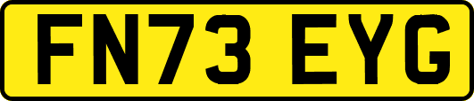 FN73EYG