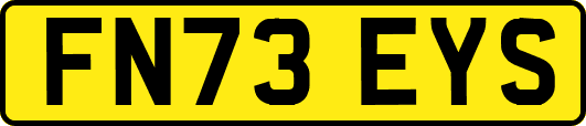 FN73EYS