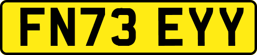 FN73EYY
