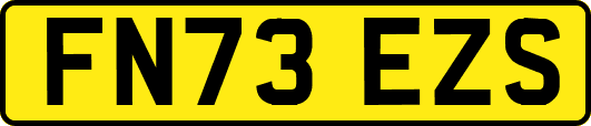 FN73EZS