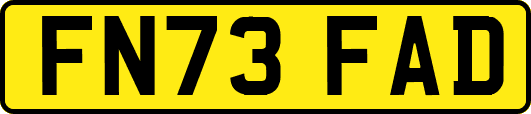 FN73FAD