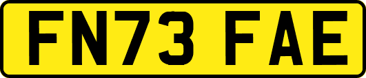 FN73FAE