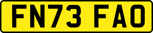 FN73FAO